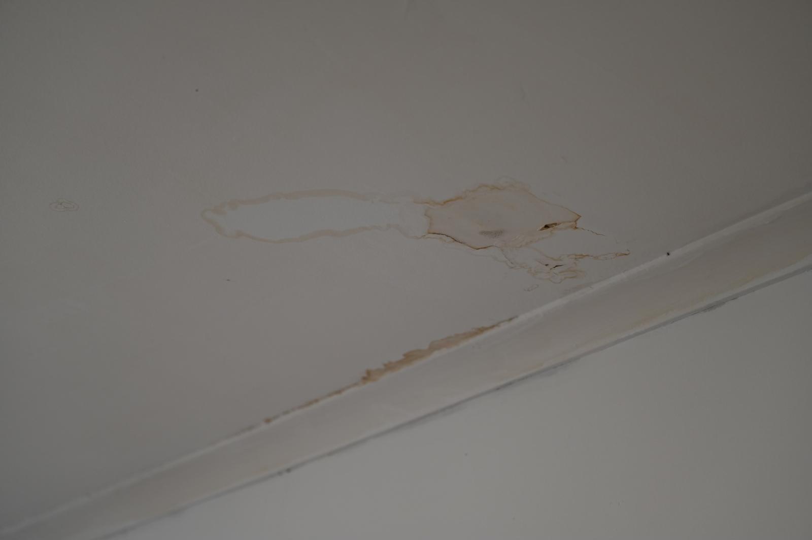 Leak Detection & Repairs